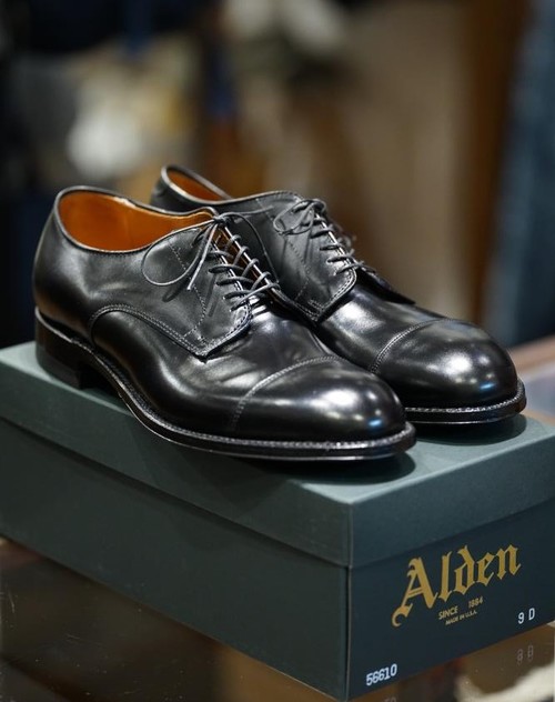 HARRY'S 【 Alden - 56610 Cap Toe Ox - Black ( Shoes & Boots Boots ...